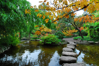 Der japanische Garten ist bereits seit 1918 eine Oase der Entspannung im Stadtgarten.