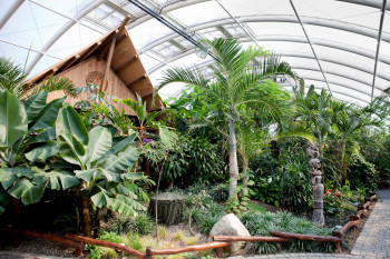 Die Dschungelhalle ist über 2.000 qm groß.