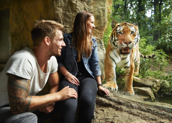 Das Reich des Tigers liegt in der Erlebniswelt Asien.