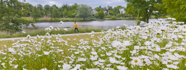 You can go jogging on the eight-kilometre circular trail.