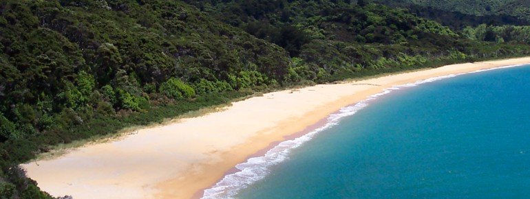 Stunning scenery: white, sandy beaches near Totaranui!