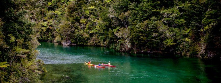 The majority of the national park is forested area.