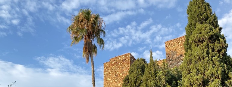 The courtyards weren't just decorative. They also served a practical purpose, helping to cool the air inside the complex.
