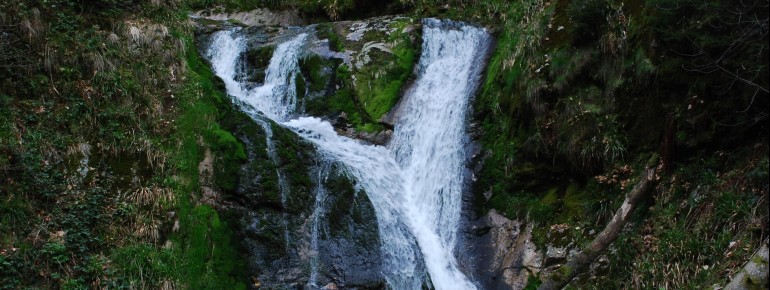 A natural experience in the middle of the Black Forest: the waterfalls of Allerheiligen impress with their height and atmosphere.