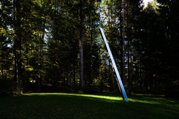 Infinitum" by Gianandrea Gazzola is located in a clearing.