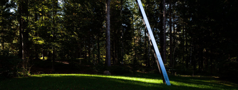 Infinitum" by Gianandrea Gazzola is located in a clearing.
