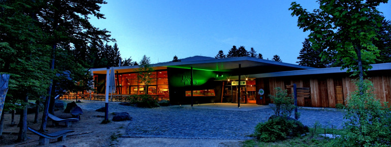 Haus der Wildnis, with its diverse offer, is a perfect destination for a family day trip.