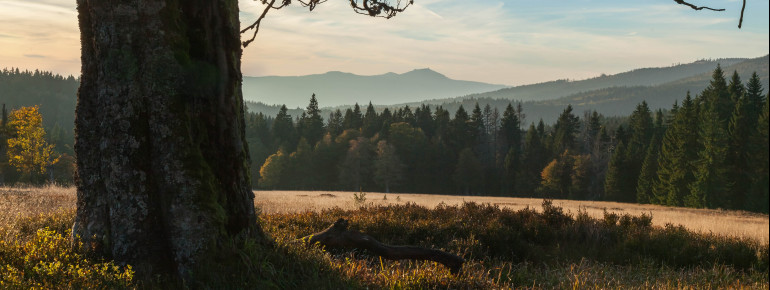 Enjoy the idyllic landscape at a hike in the Bavarian Forest.