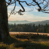 Enjoy the idyllic landscape at a hike in the Bavarian Forest.