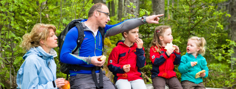 A visit at the animal enclosure is fun for the entire family.