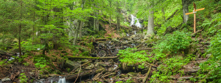 The pristine nature at the national park invites you to rest and recreate.