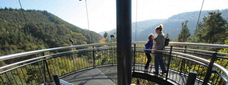 The 40 m high observation tower of the treetop path offers a beautiful view of the Palatinate Forest.