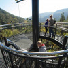 The 40 m high observation tower of the treetop path offers a beautiful view of the Palatinate Forest.