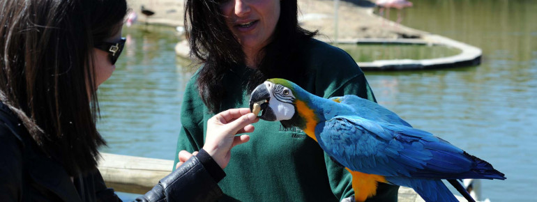 You can get really close to some of the inhabitants of the park.