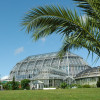 Big Palm House