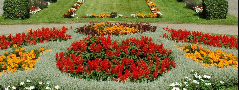 The Palm House is home to numeruos exotic plants.