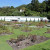 One segment of Wellington&#39;s Botanic Garden