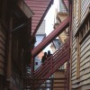 In the narrow alleys of the district.
