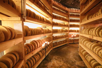 More than 3000 cheese wheels are stored in the cheese grotto.