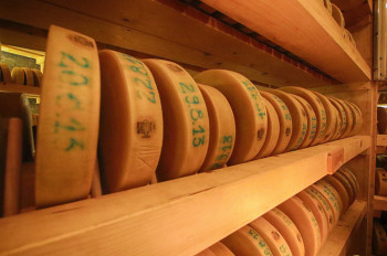 The cheese wheels are placed on several floors and are artfully illuminated.