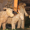Nativity scenes of all kinds are displayed around town.