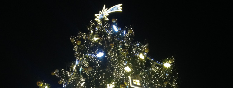 The enormous tree is the Christmas market's centre.