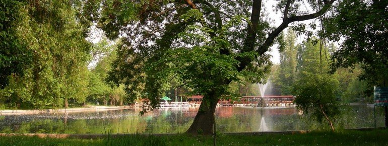 The idyllic lake inmidst of the park