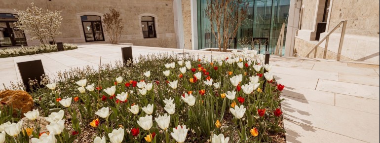After several years of renovation, the former Habsburg fortress was reopened on 28 March 2026 as a public viewpoint and cultural destination.