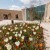 After several years of renovation, the former Habsburg fortress was reopened on 28 March 2026 as a public viewpoint and cultural destination.
