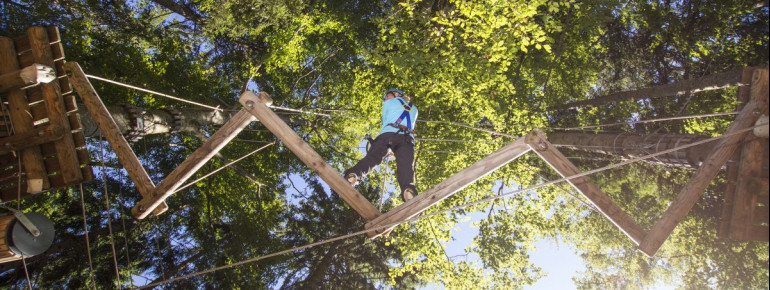 A healthy head for heights is a must in the climbing garden.