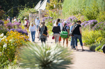 People enjoying the variety of flowers at Denver Botanic Gardens.