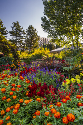 The Romantic Gardens, Lilac Garden, the Victorian Secret Garden, and many more are full of colors to enjoy.