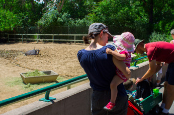 Mother and child watch a buffalo at Denver Zoo.