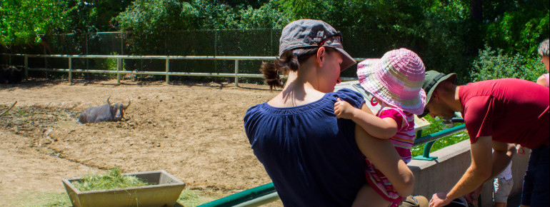 Mother and child watch a buffalo at Denver Zoo.