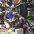 Trainers feeding a hungry hippopotamus at Denver Zoo.
