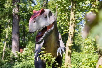 Knapp 100 lebensgroße Dinosauriermodelle warten im DINOLAND auf die Besucher
