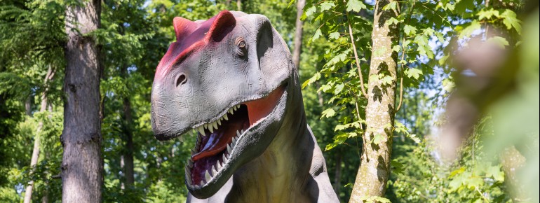 Knapp 100 lebensgroße Dinosauriermodelle warten im DINOLAND auf die Besucher