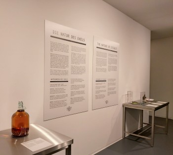 The museum features over 90 unusual foods from around the world—items that are considered delicacies in some cultures and inedible in others.