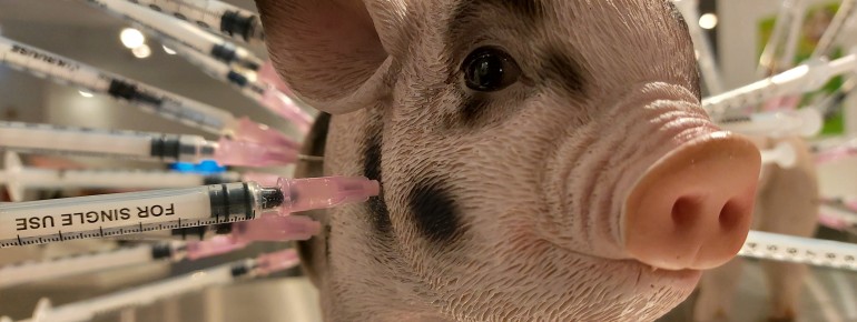 The “anabolic pig” is one of the museum’s most striking exhibits, symbolizing industrial food production.