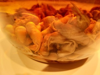 Pickled mice, anyone? In China, they’re considered a delicacy.