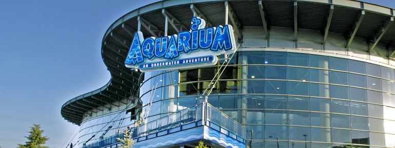 The Downtown Aquarium houses over 500 species of animals.