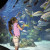 Best views: A young girl looking at a fish at Denver Downtown Aquarium.