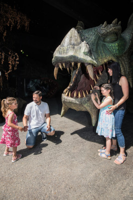 In the dragon cave, young and old can get up close to the legendary beast.