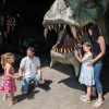 In the dragon cave, young and old can get up close to the legendary beast.