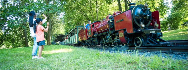The Dresden Park Railway winds its way through the green oasis of the Großer Garten, accompanied by waving, whistling, and steaming nostalgia.
