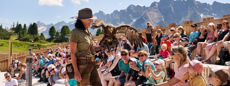 The AdlerBühne allows you to observe birds of prey at close range - a special nature experience for young and old.