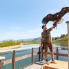 The falconers present various native species of birds of prey.