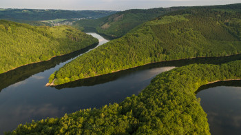 You can explore the pristine nature for hours on end at Eifel National Park.