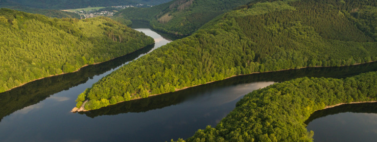 You can explore the pristine nature for hours on end at Eifel National Park.