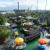 View of the amusement park with its attractions and events perfect for young and old alike.